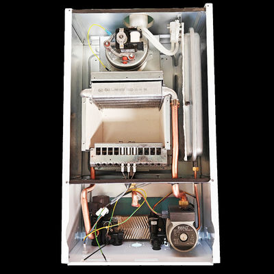 Edelstahl-Heizung L1PB 32- (F1), die Gas-Kessel an der Wand befestigtes 32Kw badet