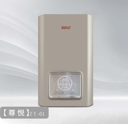 24Kw Wandgehängtes Gas Warmwasser Heizgerät Intelligente Steuerung Weiße Schale Edelstahl